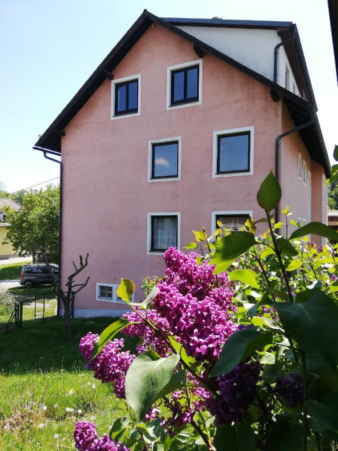 Apartamento Feriendomizil Wachau Habruck Exterior foto