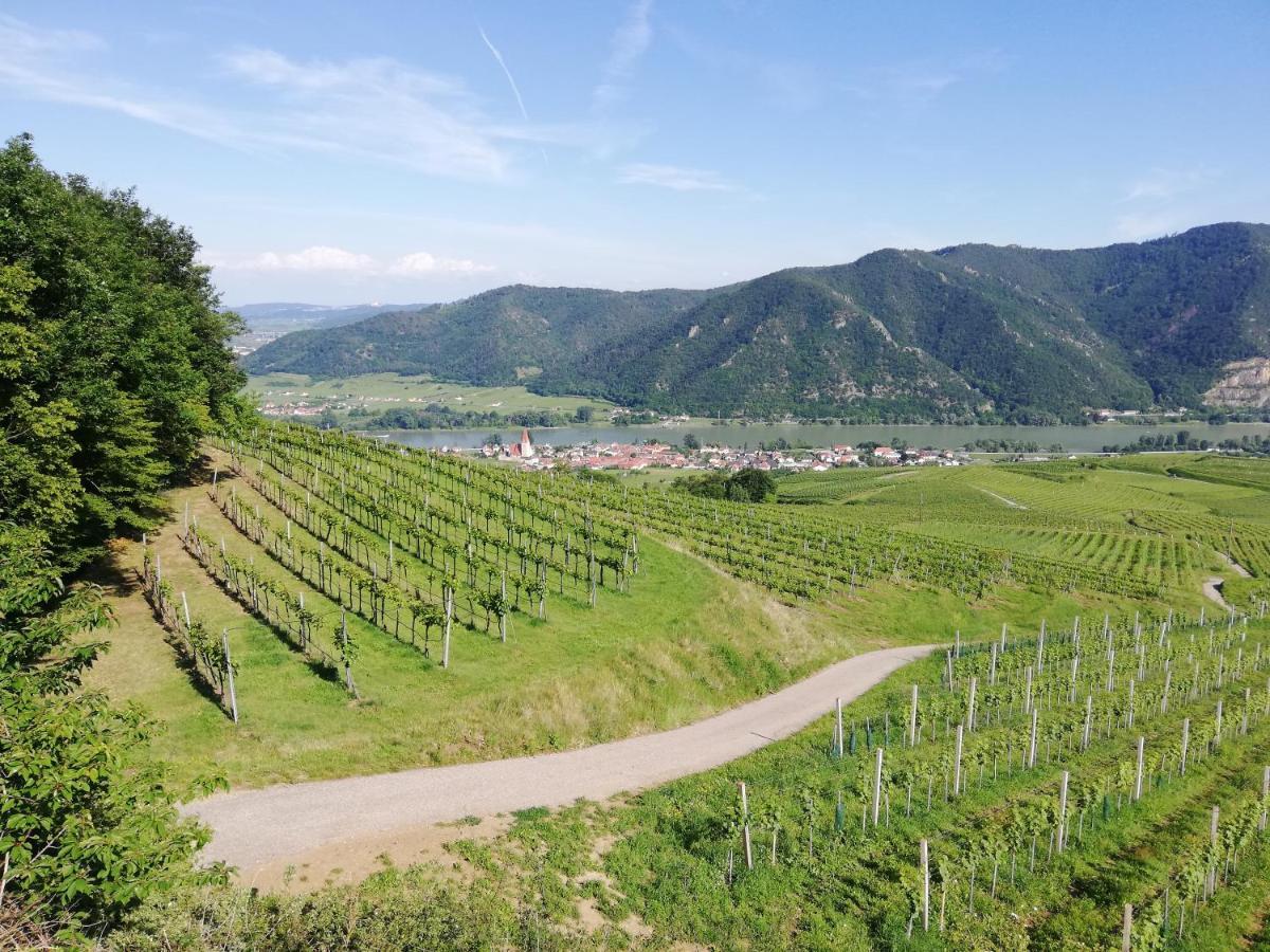 Apartamento Feriendomizil Wachau Habruck Exterior foto